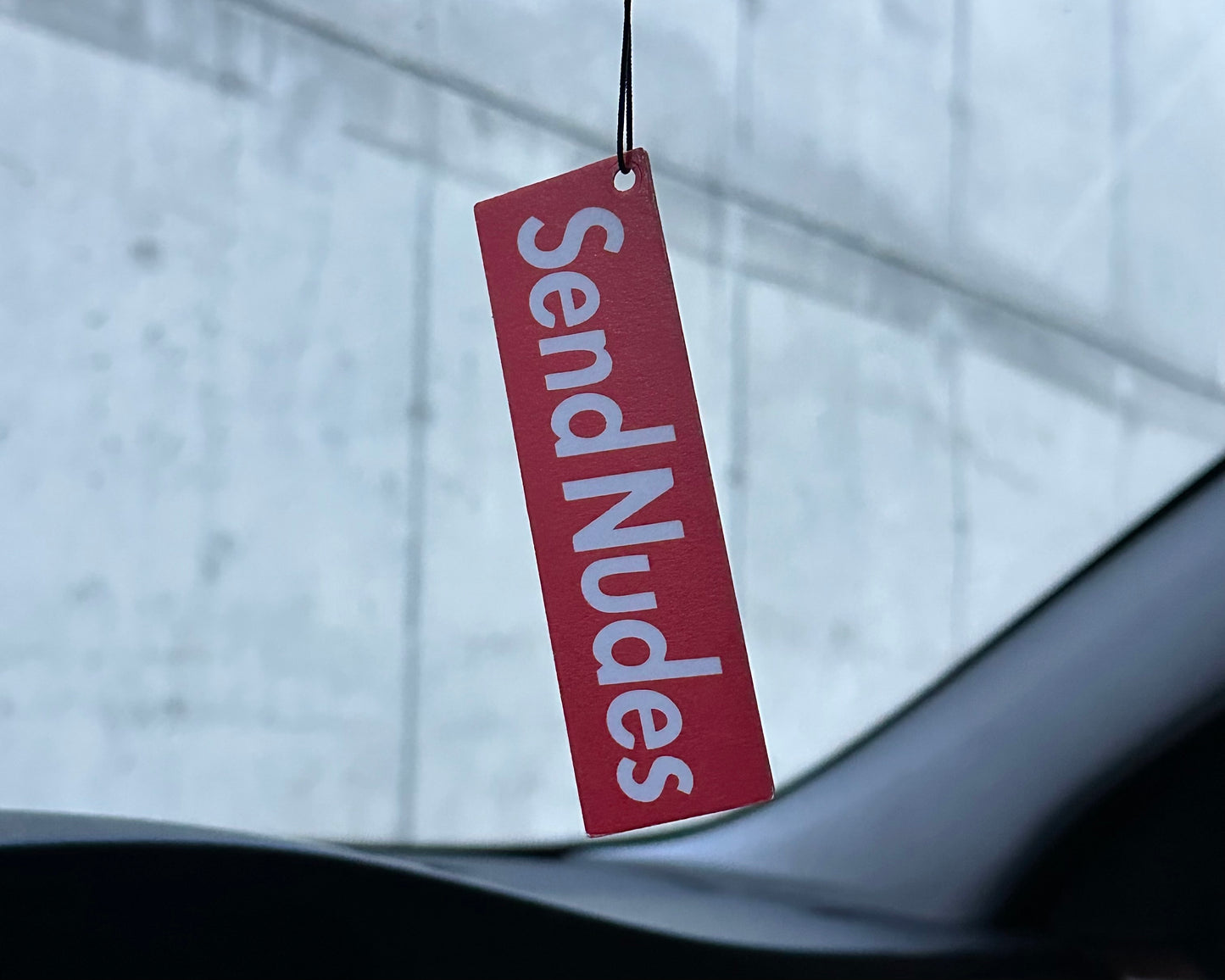 Send Nudes - Car Hanging Air Freshener