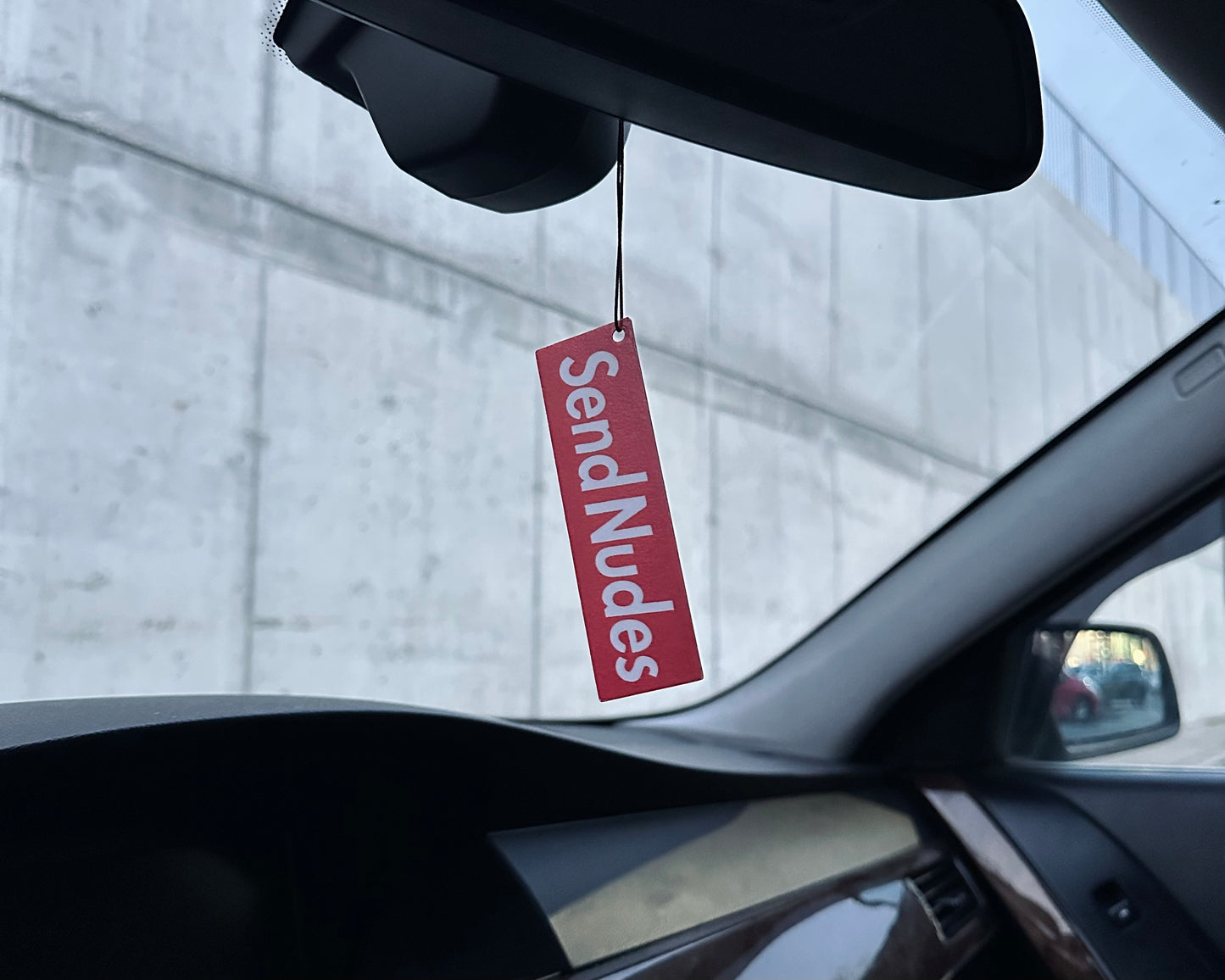 Send Nudes - Car Hanging Air Freshener